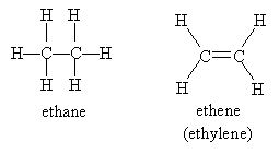Nomenclature for Alkyl Halides, Alcohols, Alkenes, and Alkynes