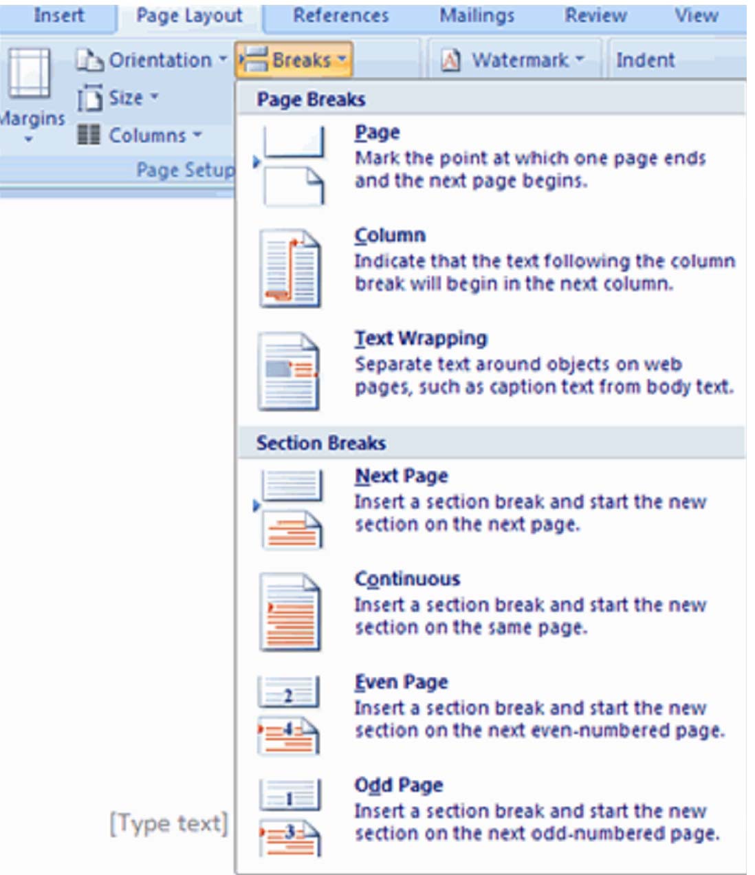 Section Break. Section Break next Page как сделать. Microsoft Word. Page Layout. Insert pages