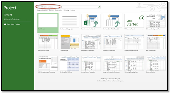 ms project file type