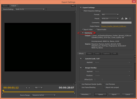 Adobe Premiere How to Publish Your Video