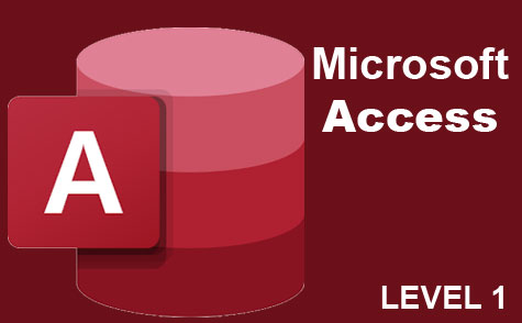 Microsoft Access Level 1