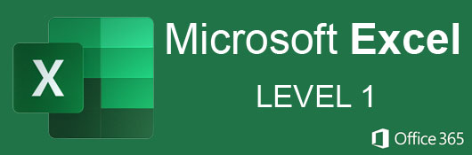 Microsoft Office 365: [9 in 1] The Most Updated All-in-One Guide From  Beginner to Expert to Master Everything You Need to Know About Word, Excel