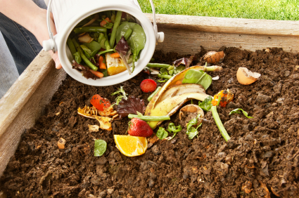 Gardening Picture