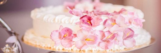 Online Course Introduction To Cake Decorating Ceu