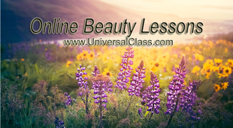 essay about the rest healthy diet