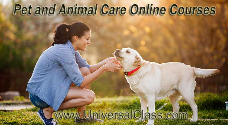 Pet and Animal Care Online Courses